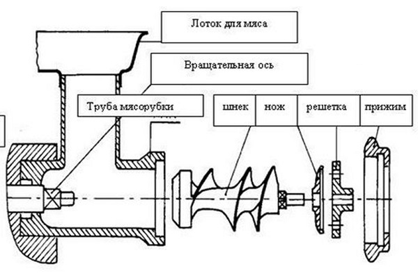 Meat grinder: device diagram, how to choose a meat grinder and processing order after use