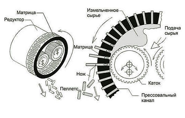 How to make a granulator from a meat grinder - step by step instructions