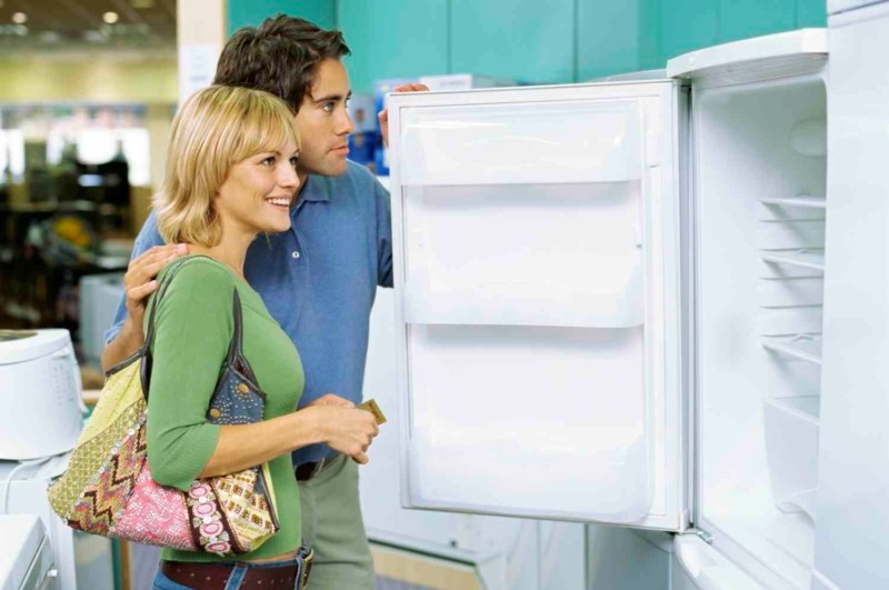 : Which refrigerator is better: single-compressor or two-compressor - the differences and advantages of each type