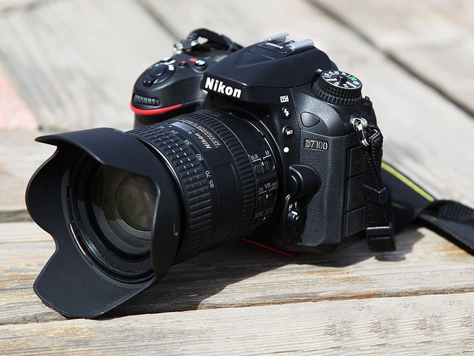 Nikon or canon: which SLR is better and how to make a choice?