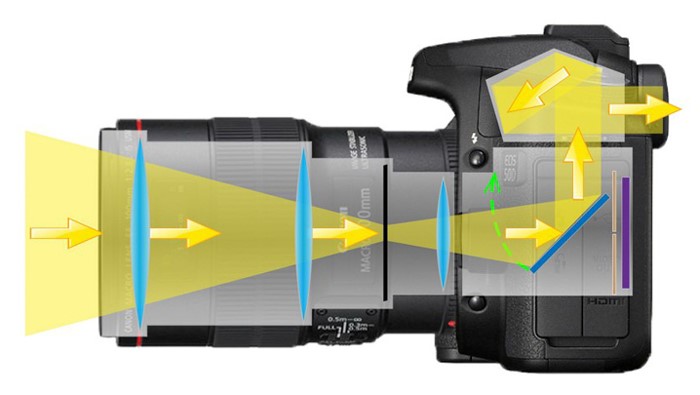 Bagaimana memilih kamera SLR (DSLR)?