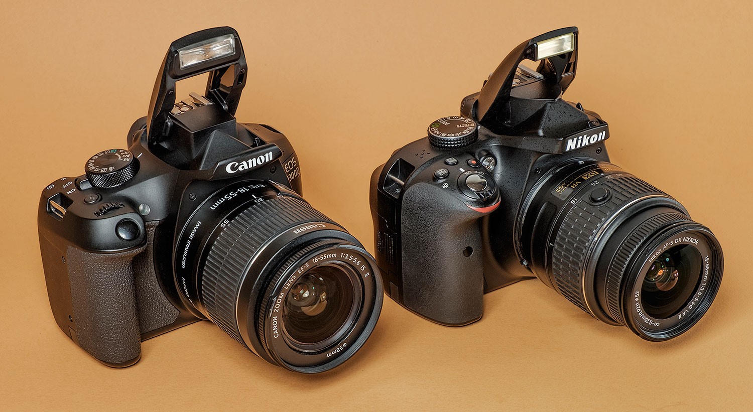 Nikon or canon: which SLR is better and how to make a choice?