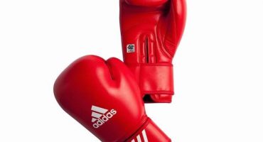 The best boxing gloves - TOP 5 popular models