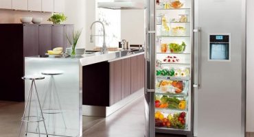 Refrigerator lg or bosch - what to choose