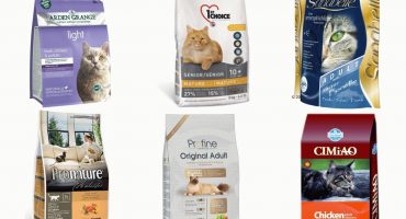 Best Premium Cat Food